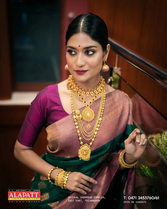 Banarasi silk zari woven saree zari detailing